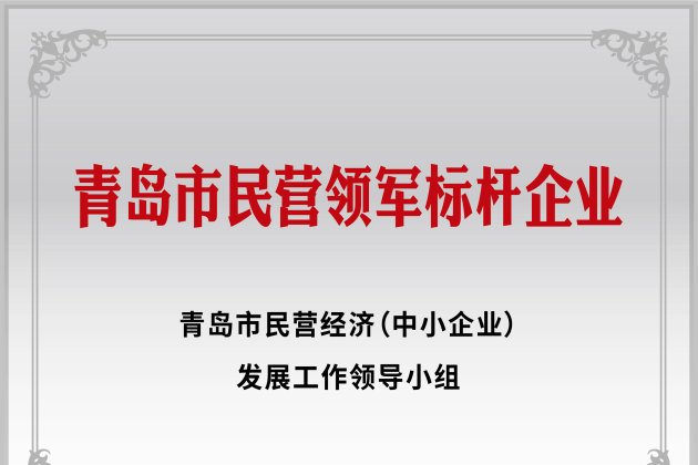 青島市民營領軍標桿企業